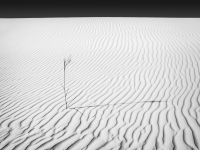 White Sands National Monument 013, 09/08/2002
