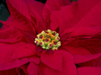 Rhodes_Jim-2026-01-MoBot5