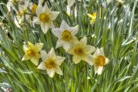 1-Shackelford-Tim_3-21-25_mobot