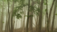 rjWilner-ShowShare-0525-20250513-DonRobinsonStatePark-4357-20250513