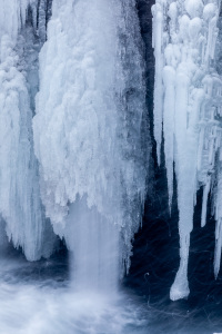 PhillipsNancy-2026-02-3-5928