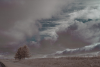 Shackelford-Tim_8-2-24_southernwi_4