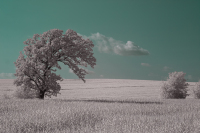 Shackelford-Tim_8-2-24_southerwi-3