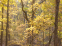 Powder Valley Nature Conservancy 2601, 11/04/2025