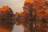 Shaw Nature Reserve 2772, 11/08/2025