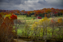 3-Shackelford-Tim_10-18-2012_N-Arkansas 3-Shackelford-Tim_10-18-2012_N-Arkansas