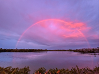 AhnerAllen-2026-09-Ding-Darling-NWR-Rainbow