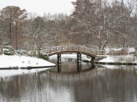 Rhodes_Jim-2026-01-MoBot1