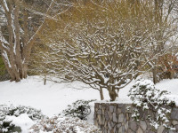 Rhodes_Jim-2026-01-MoBot2