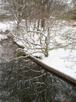 Rhodes_Jim-2026-01-MoBot4