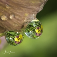 Ahner-Allen-2024-04-The-Miracle-of-Refraction