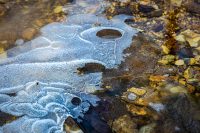 ZelleKaren-2025-PV-IcyCreek-scaled