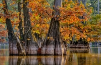 Horseshoe Lake, Alexander County, Illinois