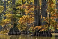 Horseshoe Lake, Alexander County, Illinois