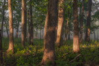 rjWilner-ShowShare-202605-20260430-ShawNatureReserve-7306-20260501