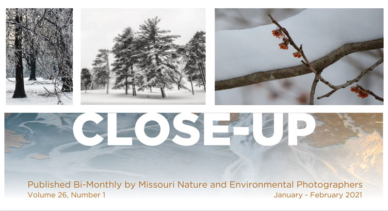 Jan-Feb 2021 Newsletter